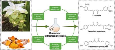 Protective effects of curcumin against osteoporosis and its molecular mechanisms: a recent review in preclinical trials